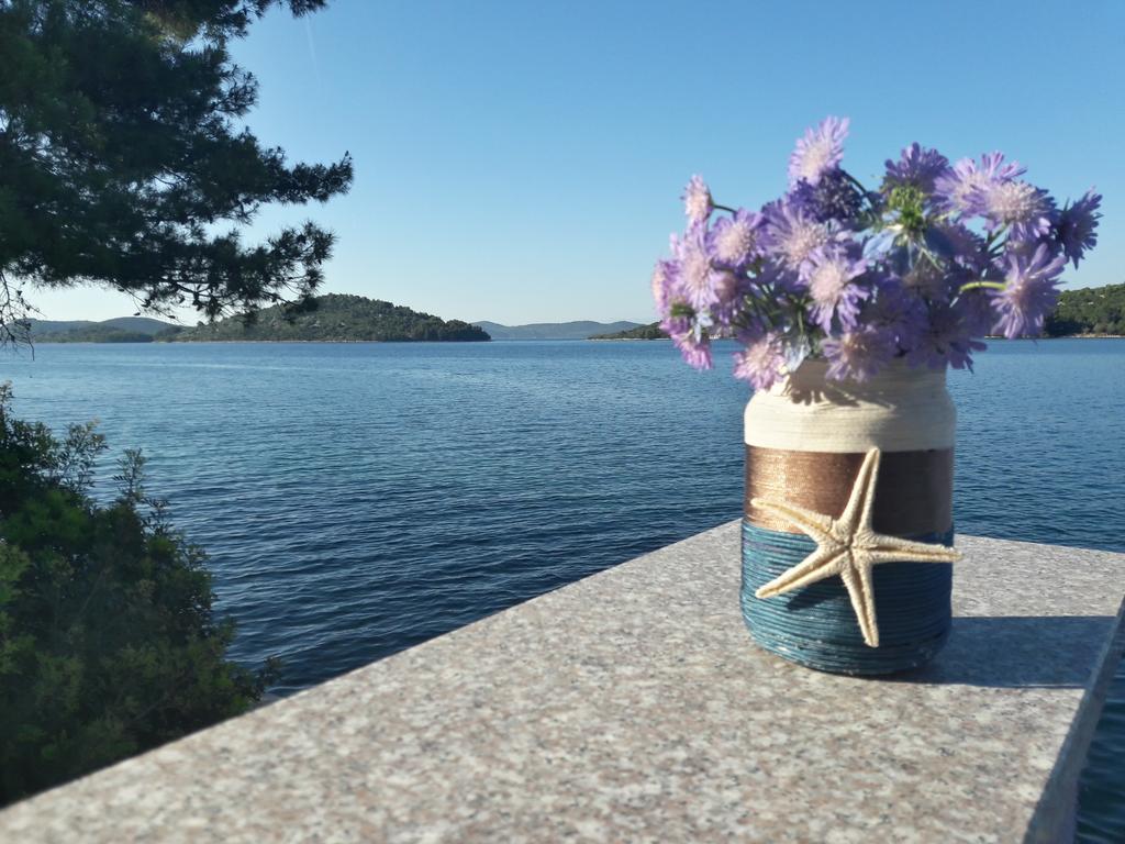 Bed and Breakfast Pansion Alen - Dugi Otok à Luka  Extérieur photo